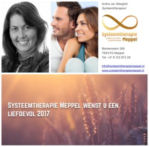 systeemtherapie meppel 2017